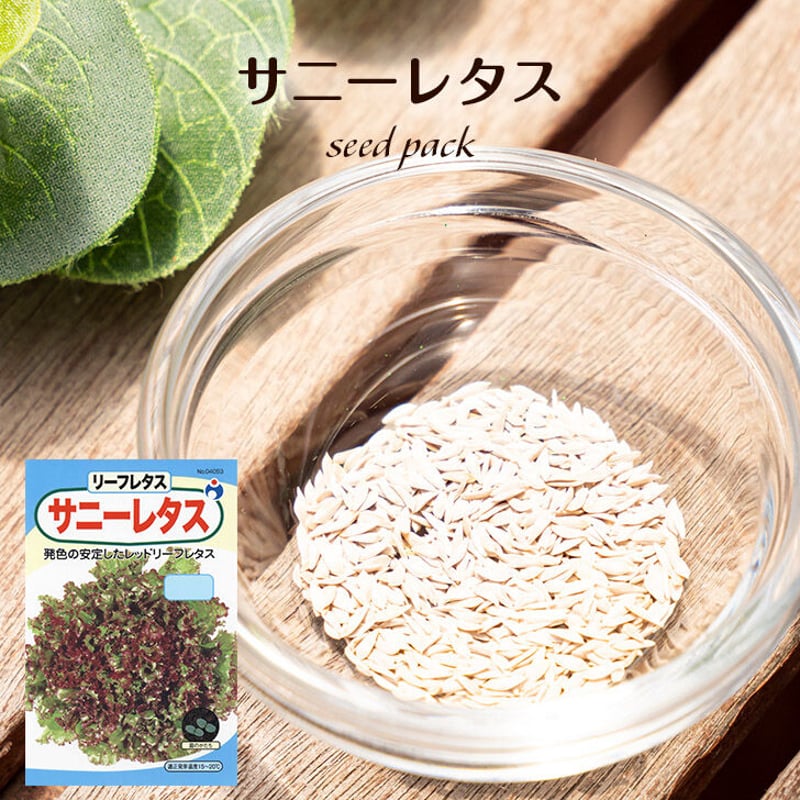 超簡単！ サニーレタス栽培 美味しく育てる4つのテクニックサニーレタス 育て方 - YouTube