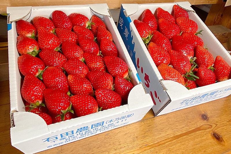 市東農園@shitonouen· Togane-shi, Chiba