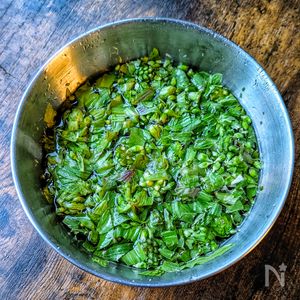 ふきのとう味噌」の作り方 猫と園芸