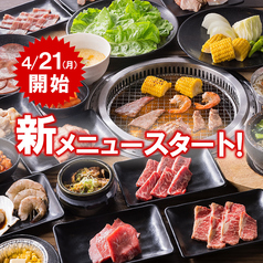 とらや分店 那須塩原 白河ラーメン とら食堂支店で頂く濃厚鶏中華そばＢ級グルメランチ紀行