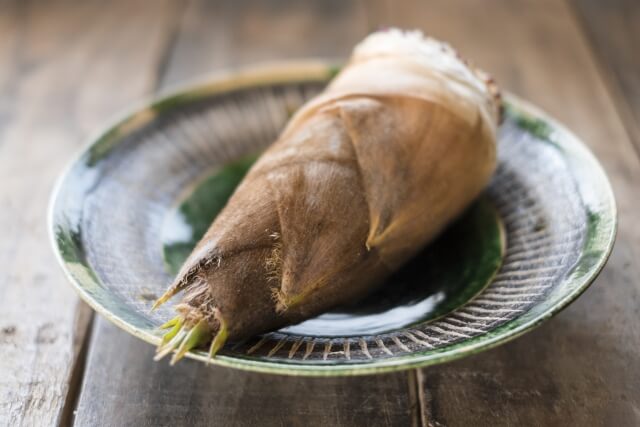 62-8601-31 フードモデル 野菜類・淡色野菜たけのこ ゆで 15g 8-54AXELアズワン