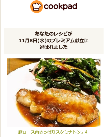 きのうのごはん さっぱりトンテキ