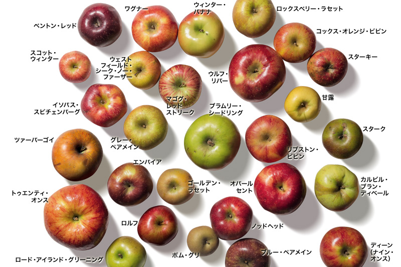 青 りんご 青森県産」の人気商品一覧安い商品を通販サイトから探す - 価格.com