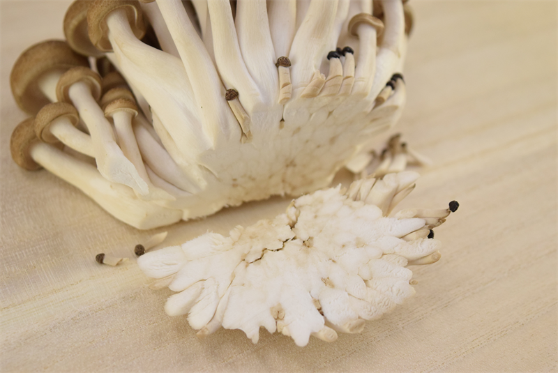 しめじの下処理・石づきの取り方キッコーマンホームクッキング