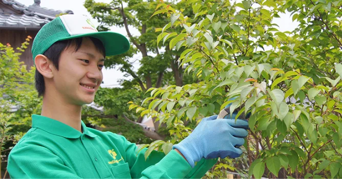 モッコクの実 - Humanoid K's diary