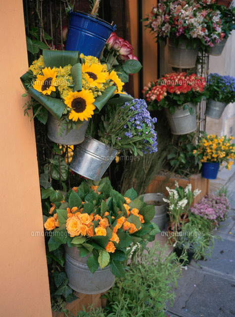 お花屋さん巡り～フランス・パリ～ - 世界の花屋 フラワーギフト おしゃれな花の通販サイト