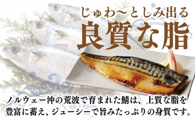 送料無料脂がのった鰹 カツオ かつお約700gの背腹セット5〜7人前相当 かつおのたたき 鰹 ギフトプレゼント 食品 送料無料 プレゼント