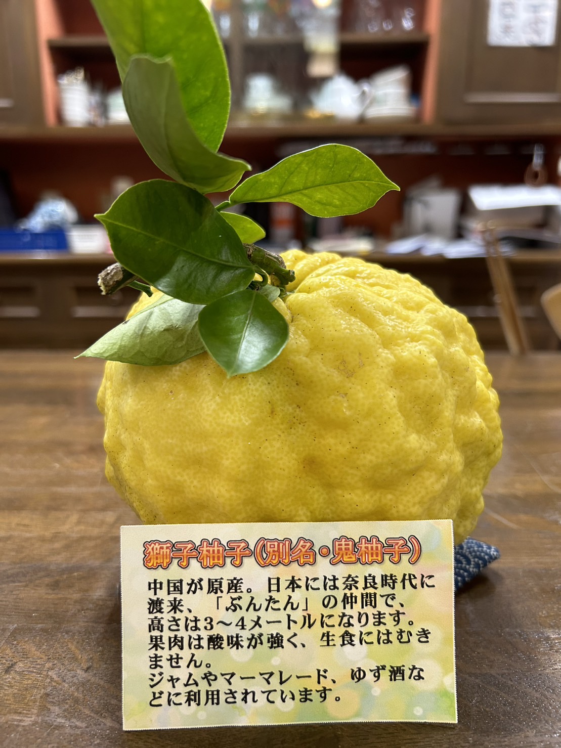 鬼柚子 獅子柚子 をジャムとピールに加工してみる。 - ゆっくり生きたいアラサー独女の雑記帳