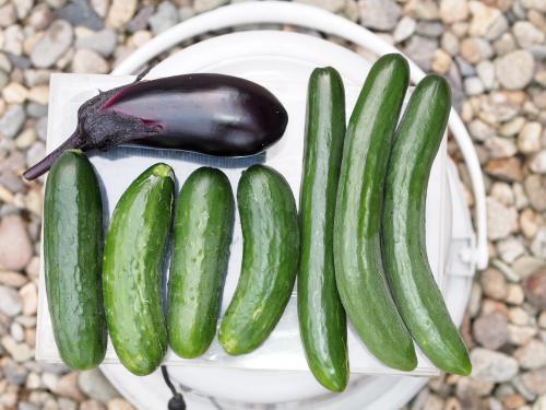 マクドナルド 何にでも合う世界一すごいソースなのに混ぜるだけで作れる ビッグマックソース- YouTube