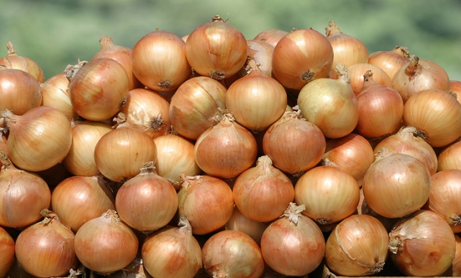 玉ねぎキャッチャー淡路島うずの丘TikTok