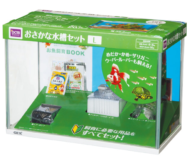 全部揃ってます!! 金魚立体図鑑 フル彩色フィギュア 再販全8種セット フルコンプビーム ガチャガチャ カプセルトイ 通販