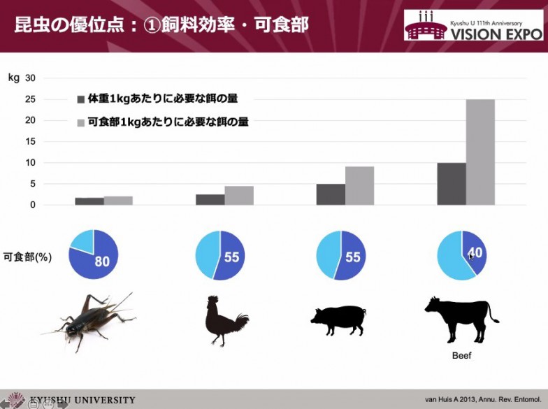 なぜ今食用コオロギが注目されている？餌や種類・栄養、デメリットやおすすめ商品も紹介 - SpaceshipEarth スペースシップ・アース SDGs・ESGの取り組み事例から私たちにできる情報をすべての人に提供するメディア