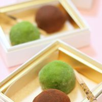 抹茶餅チーズケーキの作り方