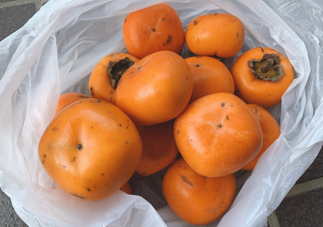 2023年11月28日 火 晴 焼酎漬けの柿 : パソコン de あれこれ