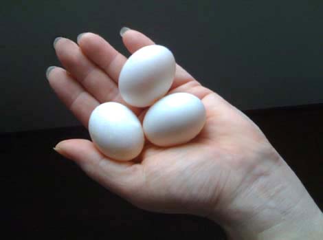 Amazonマイフレンド ハトのエサ 5キログラムx 1マイフレンド餌 通販