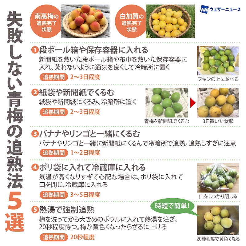 梅干し 追熟 やり方TikTok