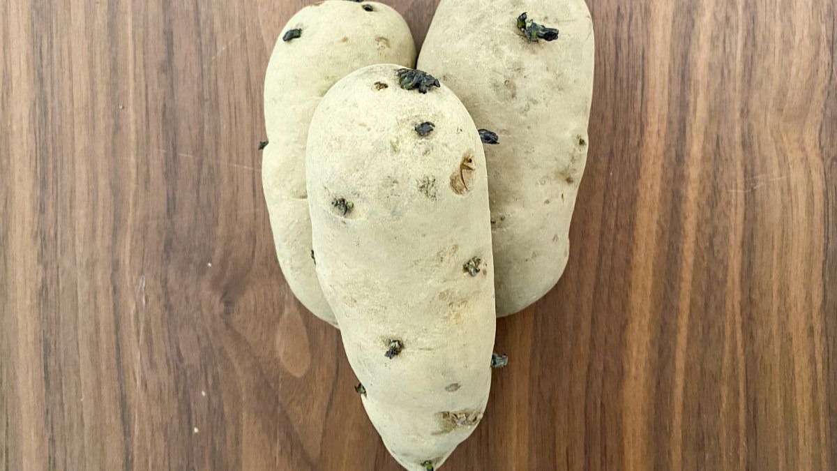 ジャガイモの芽が出たら、もう保存してもダメ？いいえ、まだ大丈夫ですよ♪ - コックさん食堂