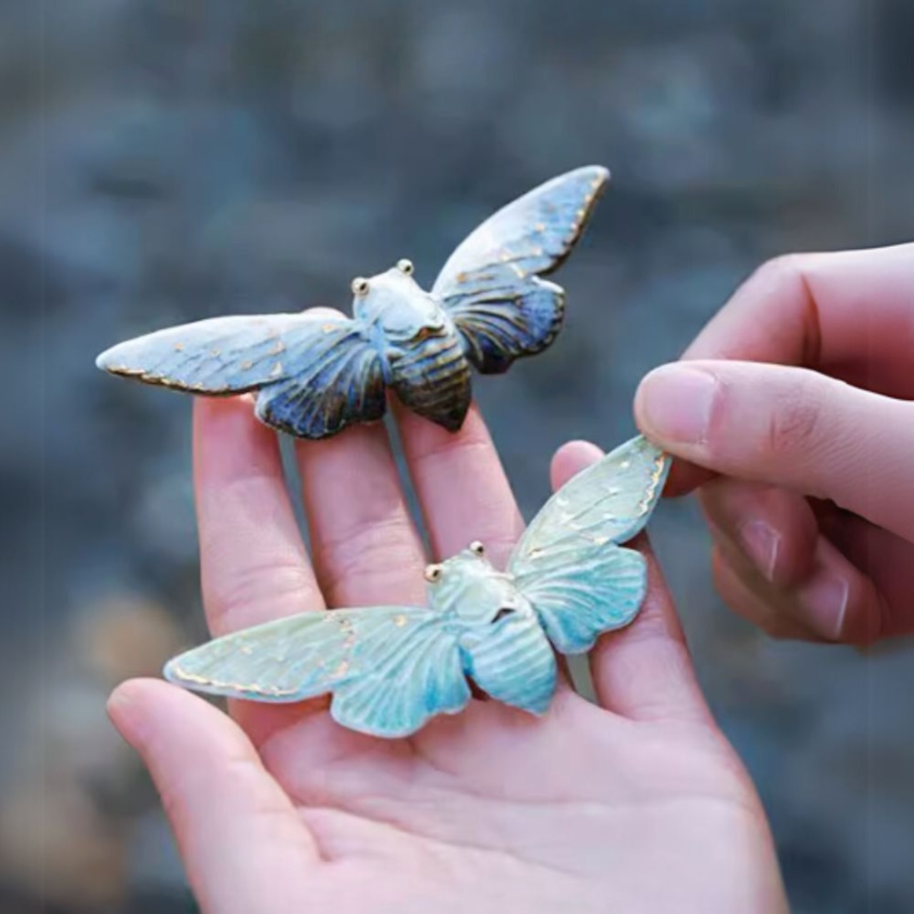 内山昭一昆虫は食材だ！セミを捕って食べようWILD MIND GO! GO