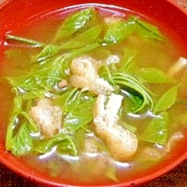 こしあぶらとホタルイカの酢みそがけ