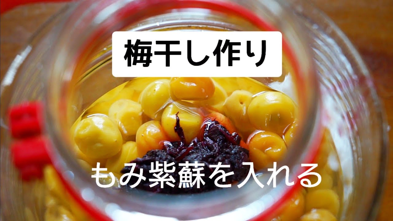 紫蘇を使った梅干しのおいしい漬け方やレシピをご紹介します梅干しの通販 和歌山の南高梅専門店熊平の梅