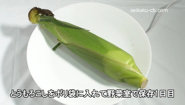 楽天市場 とうもろこし 北海道産 恵味ゴールド 10本 送料無料 スイートコーン フルーツコーン トウモロコシ ＜8月上旬より順次出荷予定＞恵ゴールド 農家直送 産地直送 野菜 果物 フルーツ 大嶌屋 おおしまや: おいしさつなぐ大嶌屋-おおしま屋