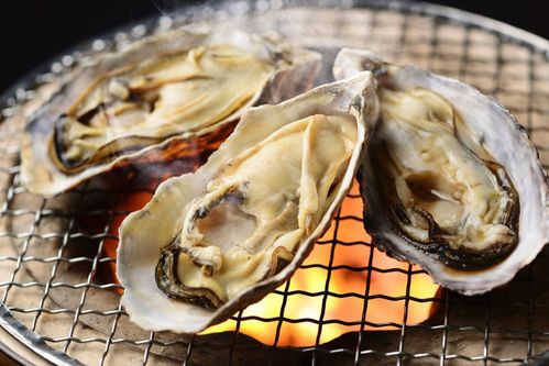 食べ物や飲み物、果物や野菜などを英語で紹介！語学をもっと身近に「ECCフォリラン！」公式サイト