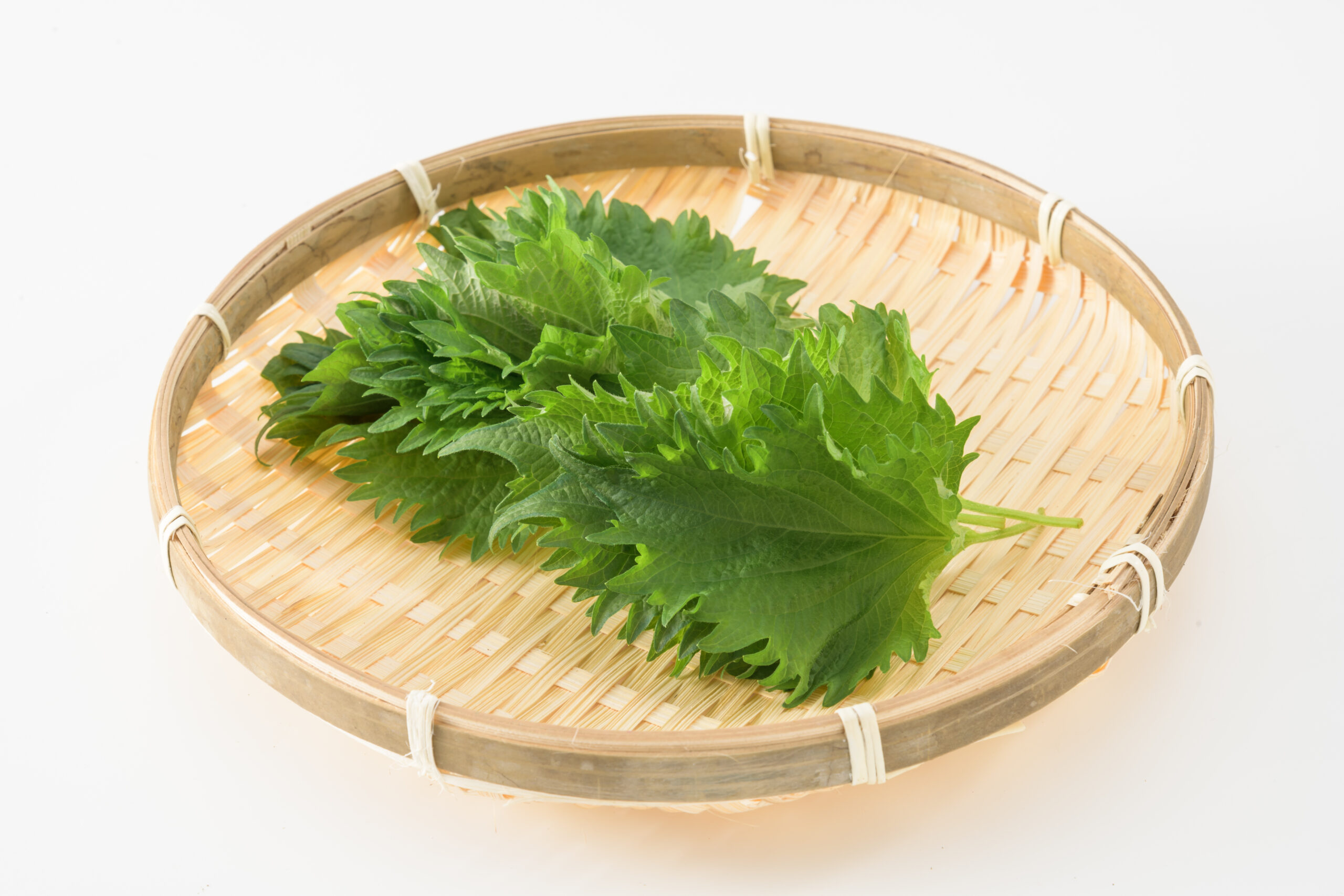 大葉の葉が黄色くなってしまう4月くらいに実家の庭から大葉をもら- Yahoo!知恵袋