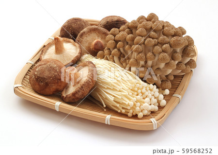 湿地茸イラスト無料イラスト・フリー素材なら「イラストAC」