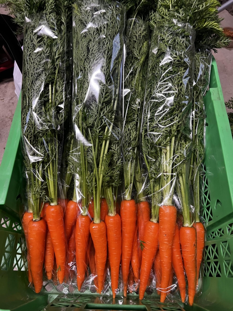 1 6サイズミニチュア野菜 葉付き人参 - ミニチュアフード ガンモのお部屋minne byGMOペパボ国内最大級のハンドメイド・手作り通販サイト