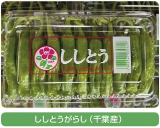 ピーマンとしし唐の佃煮