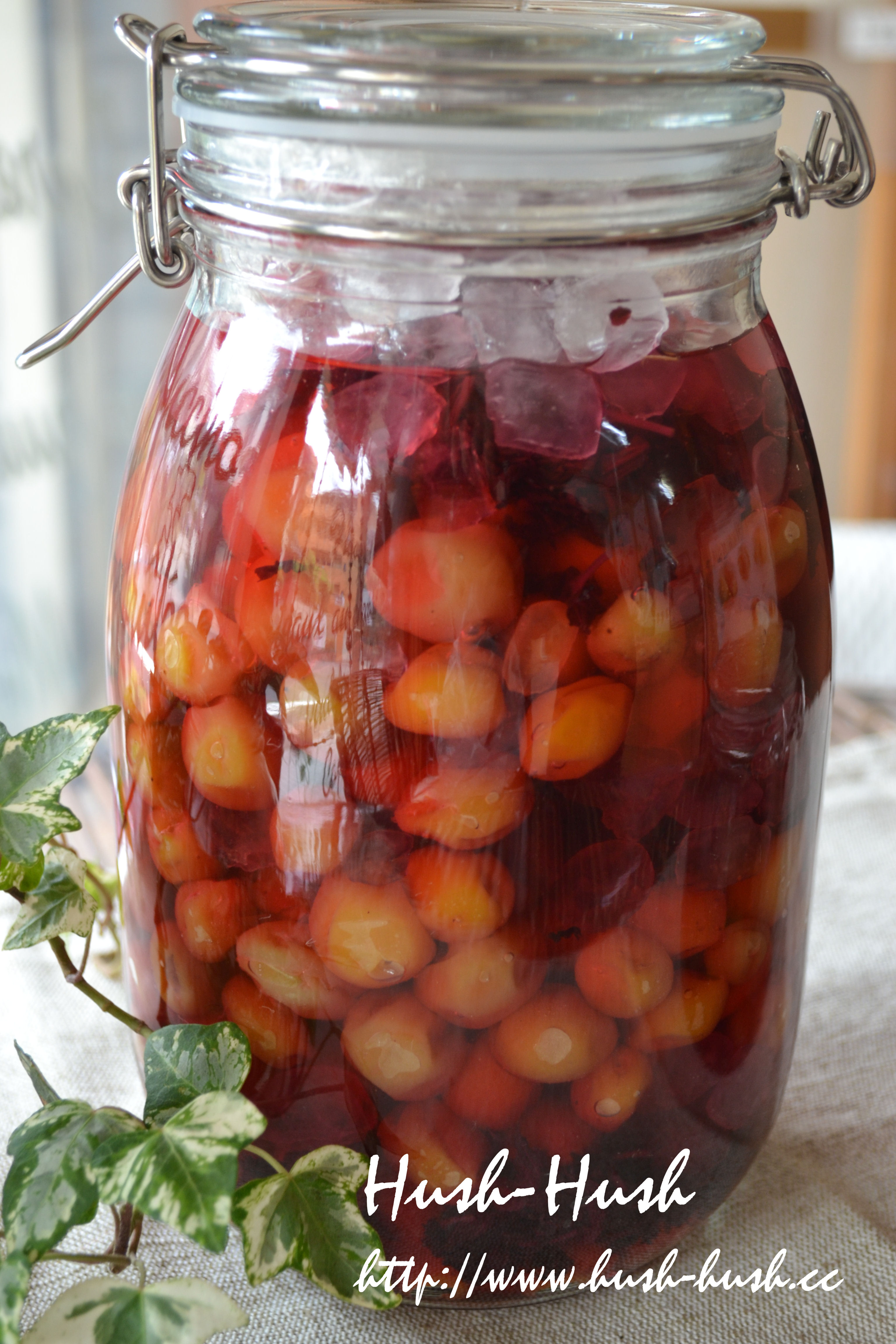 初心者必見 簡単で失敗知らずな自家製梅干しの作り方をご紹介梅干しの通販 和歌山の南高梅専門店熊平の梅