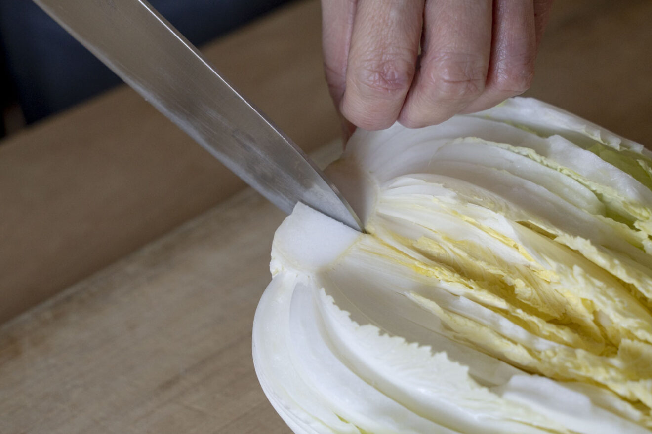 半分の白菜から⇨丸ごと白菜が収穫出来る🙄🌱 寒いシーズンでも育てる事が出来て初めての植物にもオススメです！ ぜひ試してみてくださいませ😉◎コメントや動画のリクエスト、たくさんお待ちしています☺️ ---------------------------------------🥝Instagram https:www.instagram.com sora_gardenhack