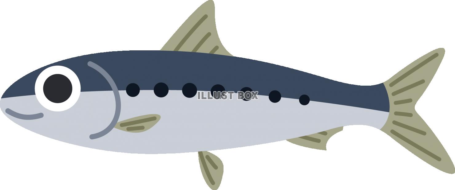 イワシ イラストのイラスト素材60299869- PIXTA