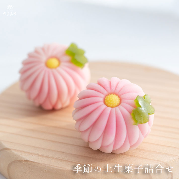 上生菓子季節の和菓子・春神楽坂 和菓子五十鈴 いすず