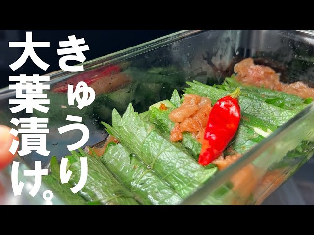 夏の定番料理 きゅうりとイカの梅しそあえ野菜科学研究会