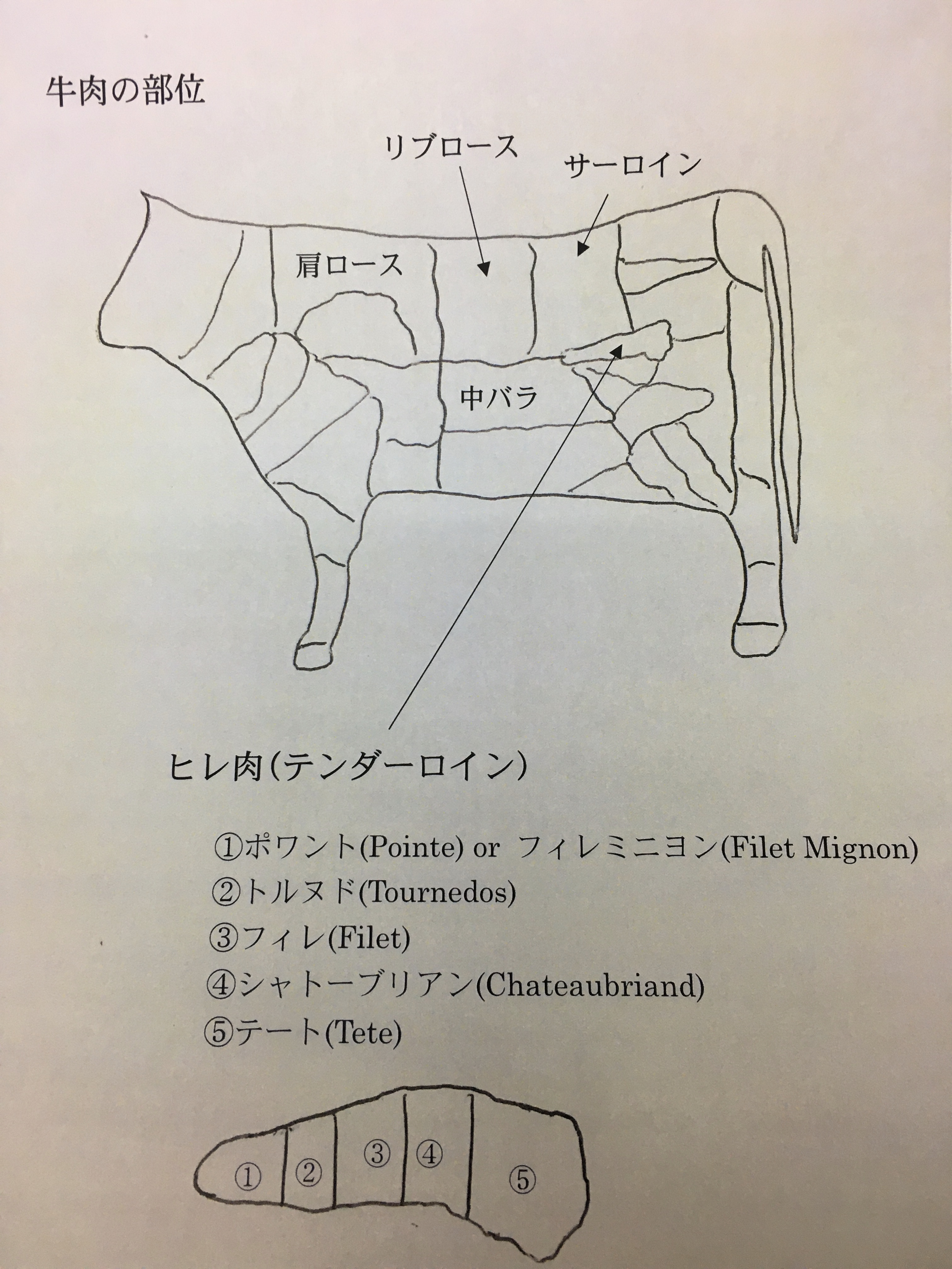 Amazon.co.jp: カンガルー肉 食用 ヒレ テンダーロイン 450~550g ブロック オーストラリア 豪州産 最高級部位 ジビエ 野生 赤身 肉 ルーミート 冷凍ヒレ 450~550g: 食品・飲料・お酒