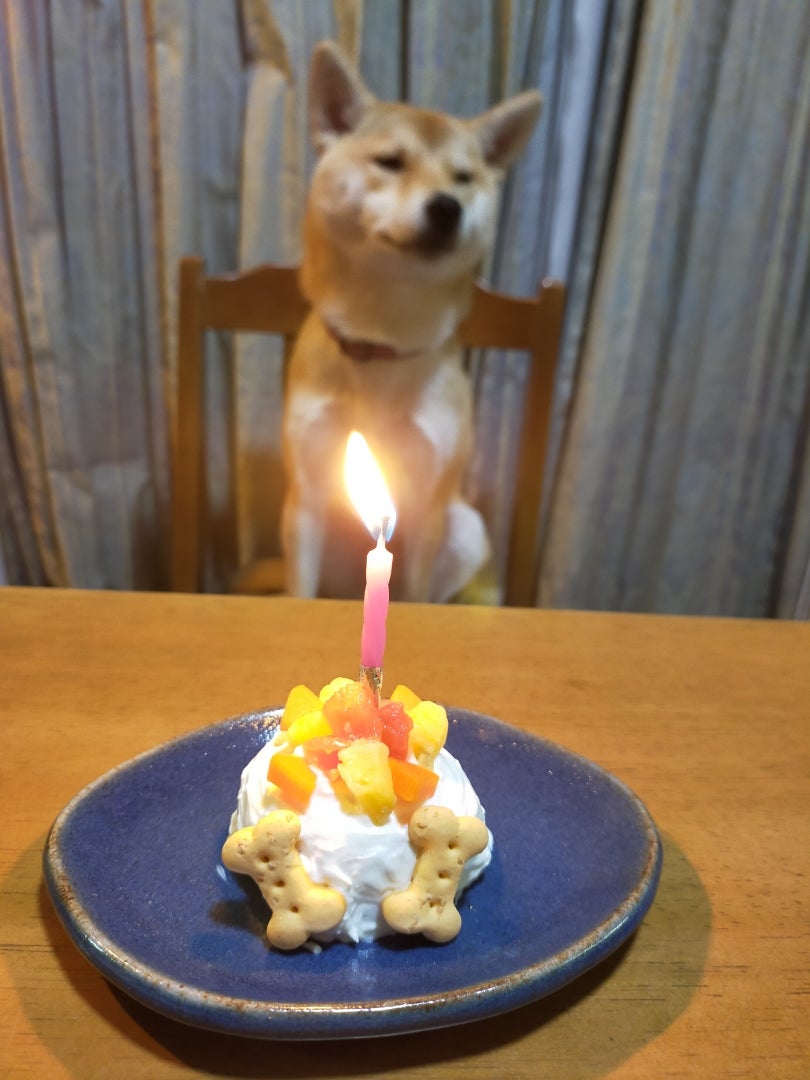 愛犬用の野菜ケーキ レンジで簡単＆低カロリー！さつまいもとにんじんを使った一口おやつ♡ワンクォール