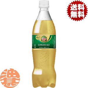 コカ・コーラ カナダドライ ジンジャーエール 160ml 1箱 30缶入- アスクル