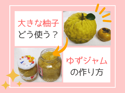 Vol.1324 獅子柚子ジャム作り 鬼柚子 │修理人たぐちの徒然日記カメラのキタムラ