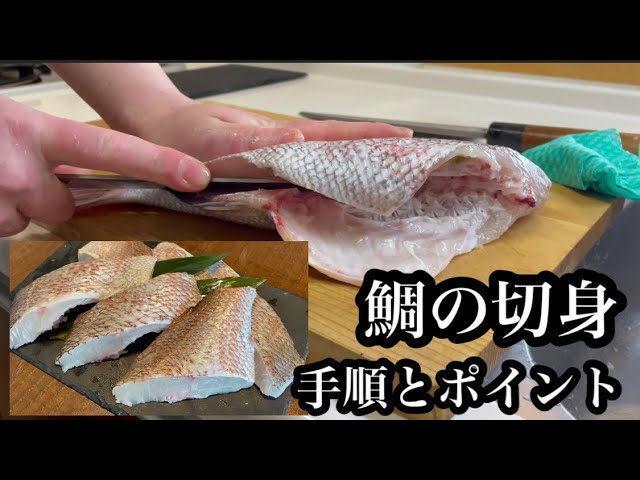 捌き方 今が旬！桜鯛のお刺身！真鯛を豪華に姿造りで盛り付ける釣king 釣行ガイド