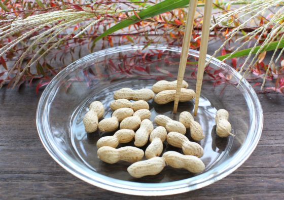 落花生レシピサイトぷちぐる