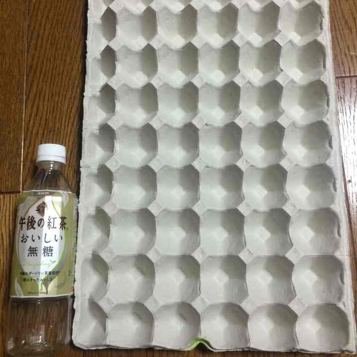 楽天市場 卵パック 紙 工作の通販