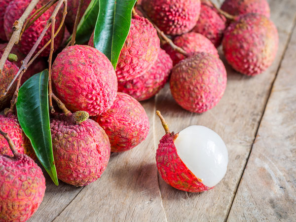 3色揃ったドラゴンフルーツ!!雨季はフルーツの季節！プーケット日本人ダイビングショップ-シュノーケリングアットプーケット