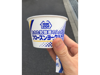 フローズンヨーグルト 3種のベリーアイスマン福留の「アイスクリームマニア」