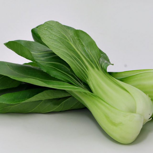 青梗菜 チンゲン菜伊都菜彩の歩き方