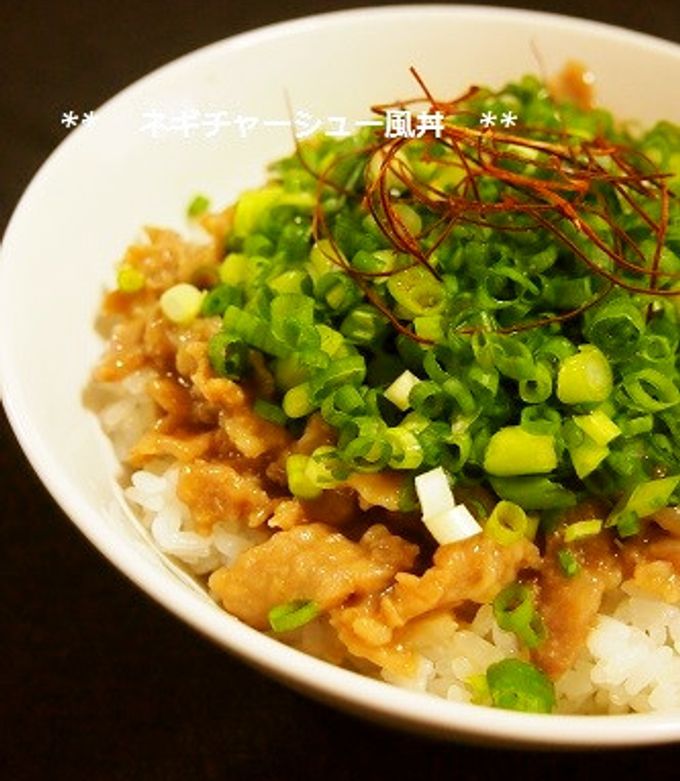 レンジ簡単調理 特製チャーシュー丼450g煮込み焼き豚たっぷり冷凍 そうざい男しゃくお弁当・お肉・お惣菜の通販