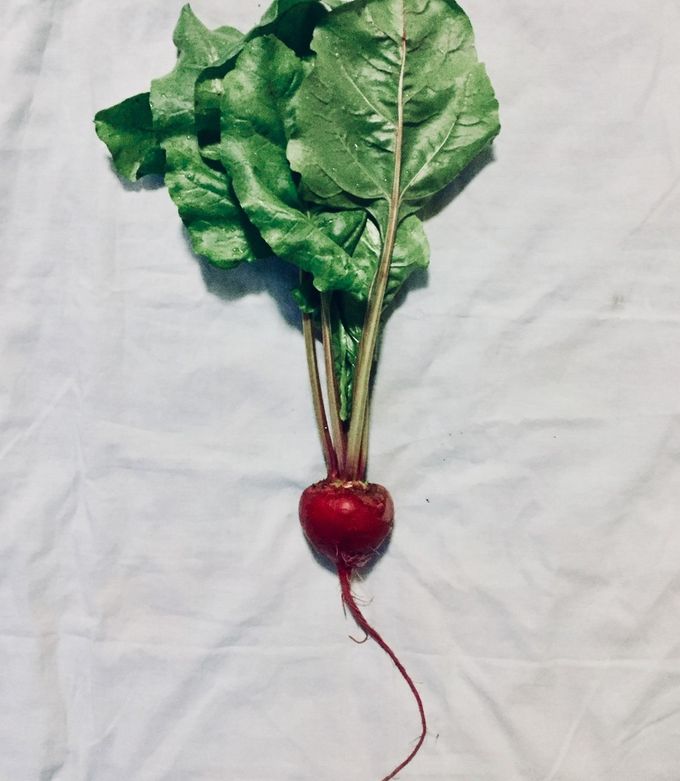 ビーツの下処理&保存☆ビーツの葉も♪