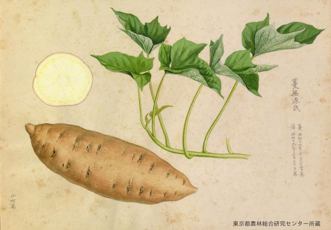 株式会社WAKUBLOG