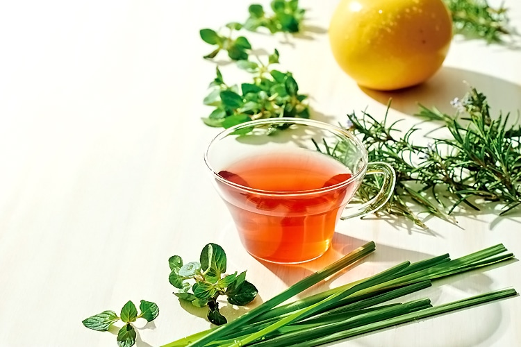 TOPHY herb-ty スタビリティ – ドラッグストア フィトリート