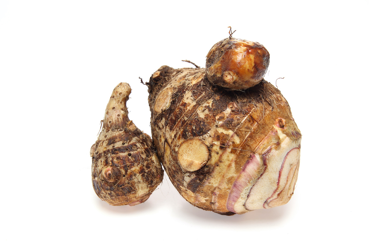 さといもを、いつもより少し丁寧に。幸せの味を知った、とっておきの食べ方 畑の魅力伝道師 いまむらゆい- aiyueyo